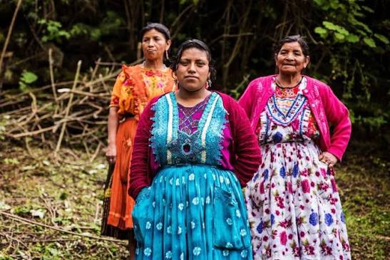 Three women in traditional embroidered clothing standing outdoors among trees